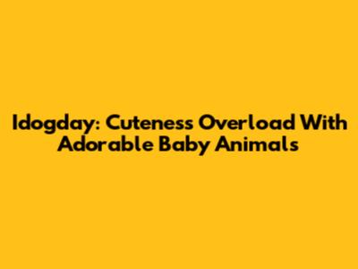 Idogday: Cuteness Overload With Adorable Baby Animals