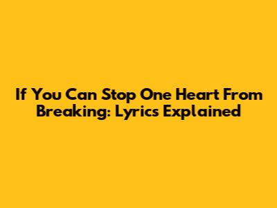 If You Can Stop One Heart From Breaking: Lyrics Explained