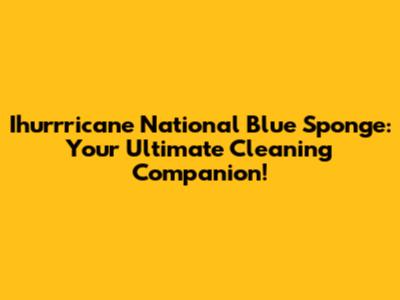 Ihurrricane National Blue Sponge: Your Ultimate Cleaning Companion!
