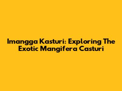 Imangga Kasturi: Exploring The Exotic Mangifera Casturi