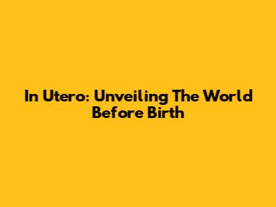 In Utero: Unveiling The World Before Birth