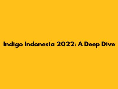 Indigo Indonesia 2022: A Deep Dive