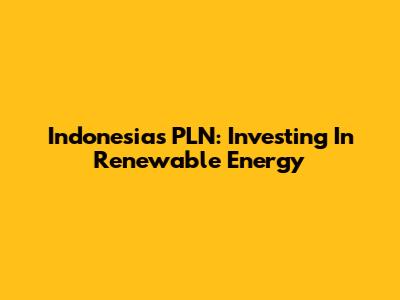 Indonesia's PLN: Investing In Renewable Energy