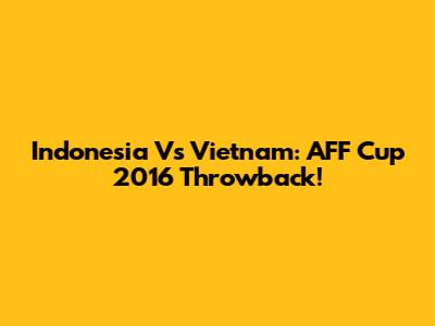 Indonesia Vs Vietnam: AFF Cup 2016 Throwback!