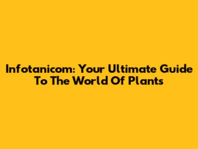 Infotanicom: Your Ultimate Guide To The World Of Plants