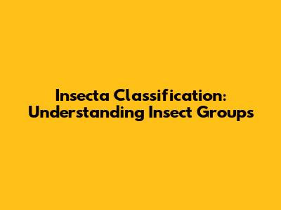 Insecta Classification: Understanding Insect Groups
