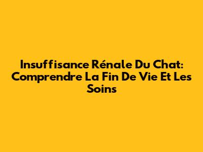 Insuffisance Rénale Du Chat: Comprendre La Fin De Vie Et Les Soins