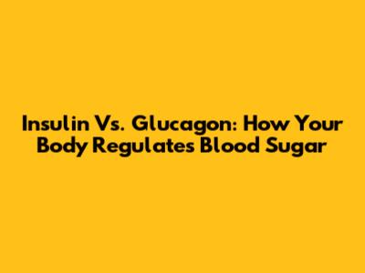Insulin Vs. Glucagon: How Your Body Regulates Blood Sugar
