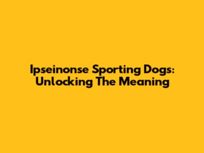 Ipseinonse Sporting Dogs: Unlocking The Meaning