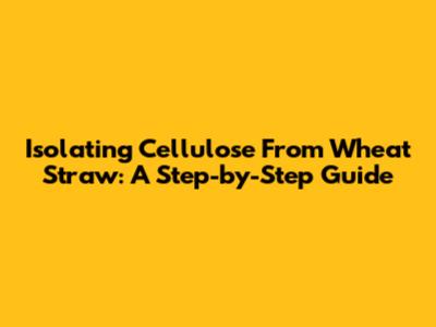 Isolating Cellulose From Wheat Straw: A Step-by-Step Guide