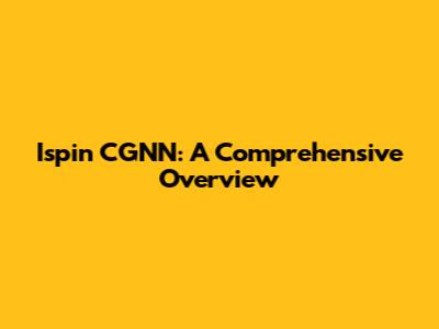 Ispin CGNN: A Comprehensive Overview