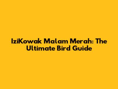 IziKowak Malam Merah: The Ultimate Bird Guide