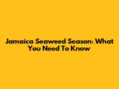 Jamaica Seaweed Season: What You Need To Know