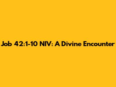 Job 42:1-10 NIV: A Divine Encounter