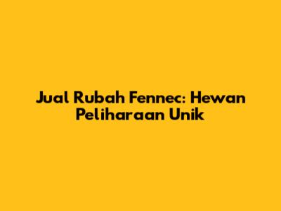 Jual Rubah Fennec: Hewan Peliharaan Unik