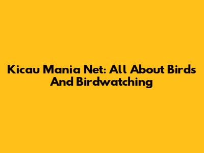 Kicau Mania Net: All About Birds And Birdwatching