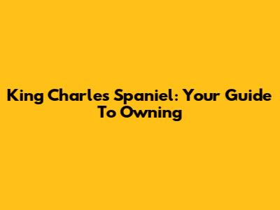 King Charles Spaniel: Your Guide To Owning