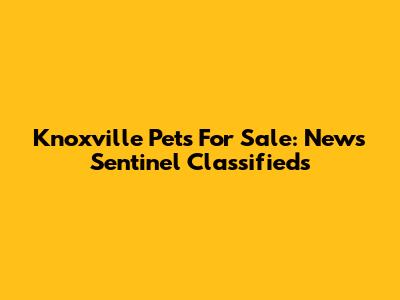 Knoxville Pets For Sale: News Sentinel Classifieds