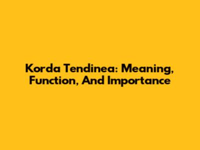Korda Tendinea: Meaning, Function, And Importance