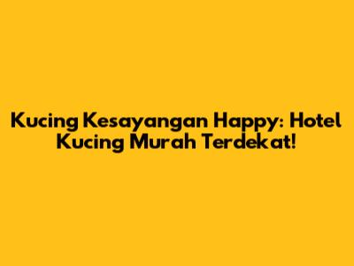 Kucing Kesayangan Happy: Hotel Kucing Murah Terdekat!