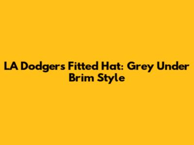 LA Dodgers Fitted Hat: Grey Under Brim Style