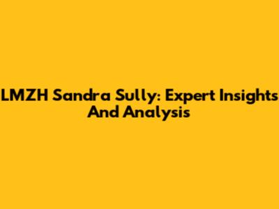 LMZH Sandra Sully: Expert Insights And Analysis