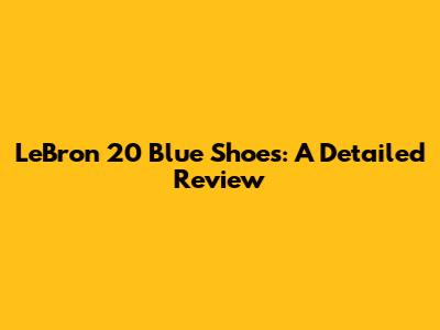 LeBron 20 Blue Shoes: A Detailed Review