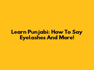 Learn Punjabi: How To Say 'Eyelashes' And More!