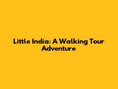 Little India: A Walking Tour Adventure