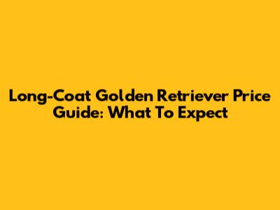 Long-Coat Golden Retriever Price Guide: What To Expect