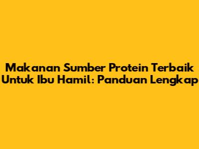 Makanan Sumber Protein Terbaik Untuk Ibu Hamil: Panduan Lengkap