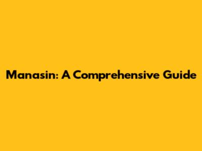 Manasin: A Comprehensive Guide