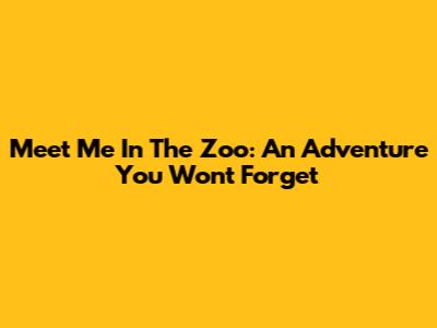 Meet Me In The Zoo: An Adventure You Won't Forget