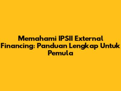 Memahami IPSII External Financing: Panduan Lengkap Untuk Pemula