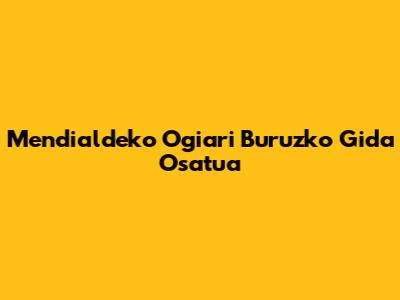Mendialdeko Ogiari Buruzko Gida Osatua