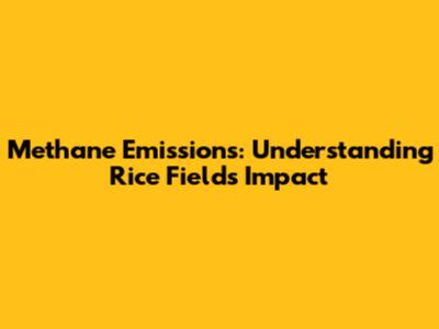 Methane Emissions: Understanding Rice Fields Impact