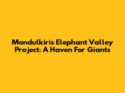 Mondulkiri's Elephant Valley Project: A Haven For Giants