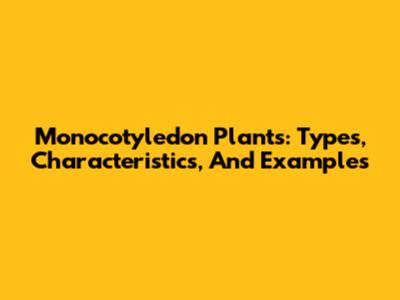 Monocotyledon Plants: Types, Characteristics, And Examples