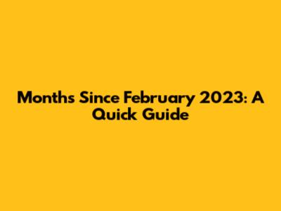 Months Since February 2023: A Quick Guide