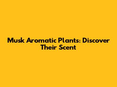 Musk Aromatic Plants: Discover Their Scent