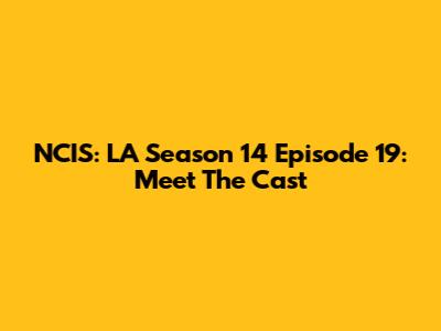 NCIS: LA Season 14 Episode 19: Meet The Cast