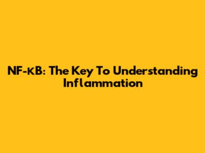 NF-κB: The Key To Understanding Inflammation