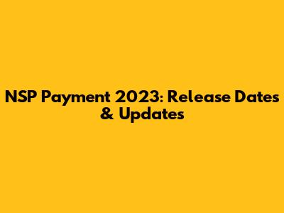 NSP Payment 2023: Release Dates & Updates