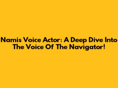 Nami's Voice Actor: A Deep Dive Into The Voice Of The Navigator!