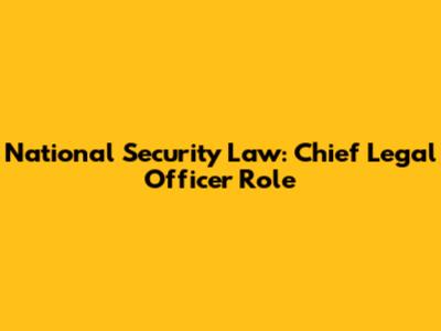 National Security Law: Chief Legal Officer Role