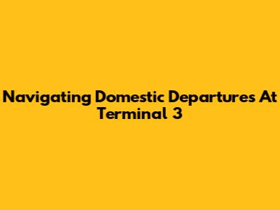 Navigating Domestic Departures At Terminal 3