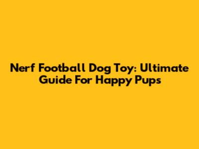 Nerf Football Dog Toy: Ultimate Guide For Happy Pups