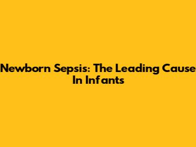 Newborn Sepsis: The Leading Cause In Infants
