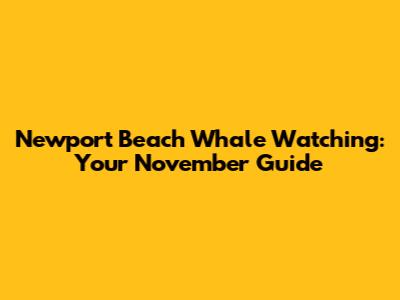 Newport Beach Whale Watching: Your November Guide