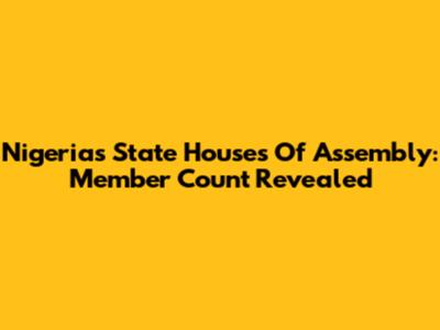 Nigeria's State Houses Of Assembly: Member Count Revealed
